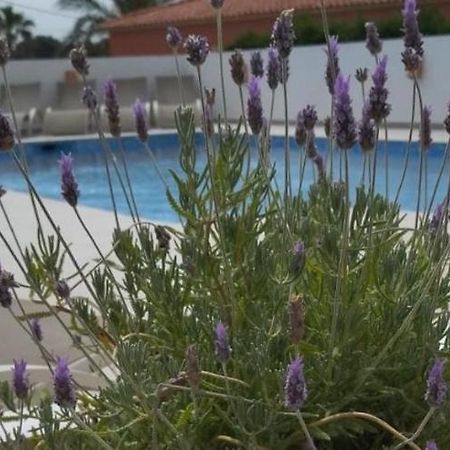 Vila Martí Calpe Exteriér fotografie