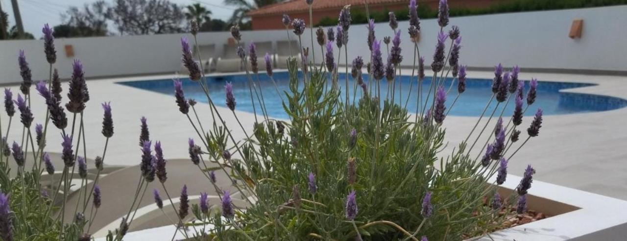 Vila Martí Calpe Exteriér fotografie